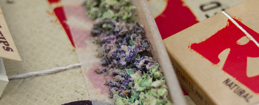 Cannabis Seeds Buyers Blog