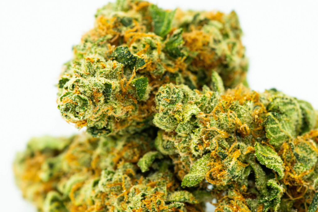 All You Need To Know About ZKittels - Popular Cannabis Strains